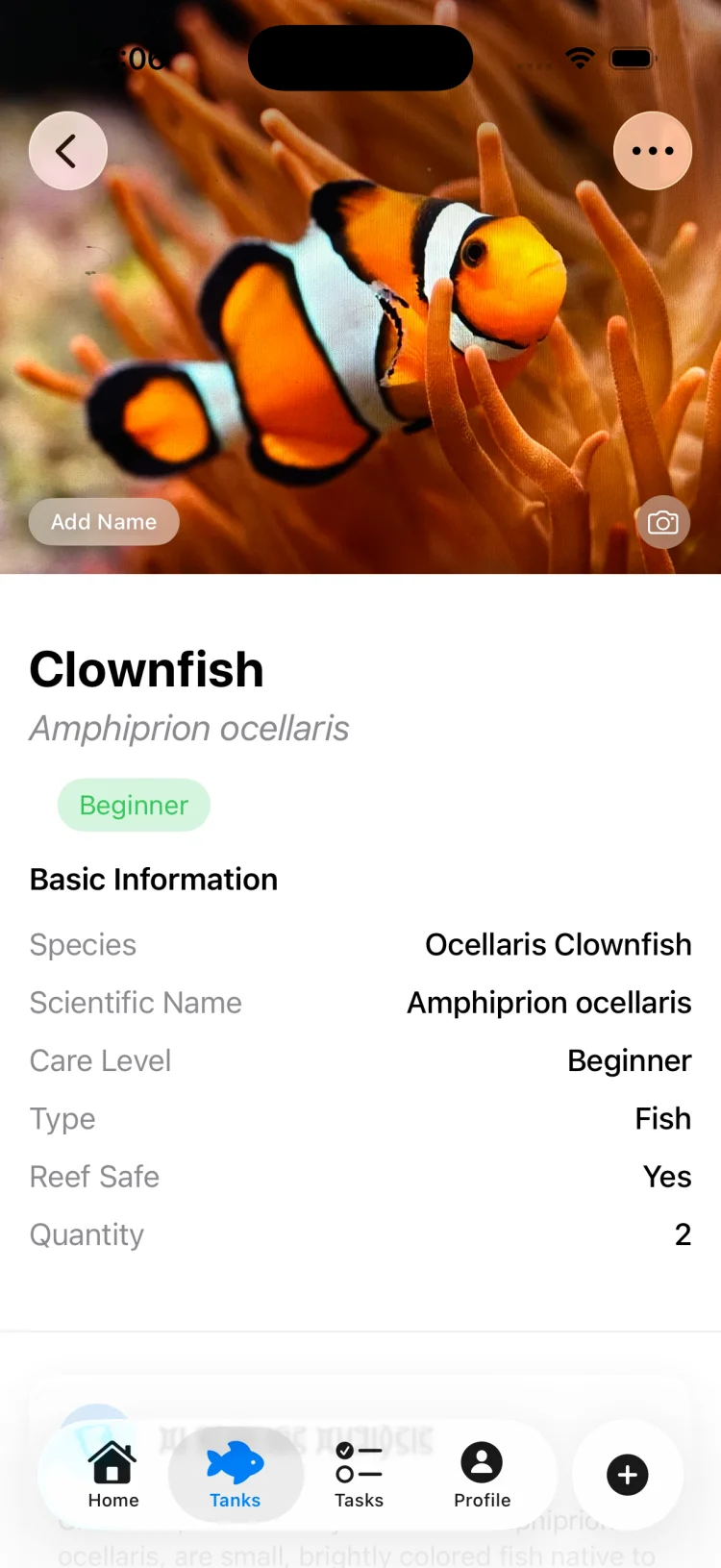 TankSync species profile for ocellaris clownfish showing adult size, minimum tank, temperature and pH ranges, diet, temperament and reef compatibility